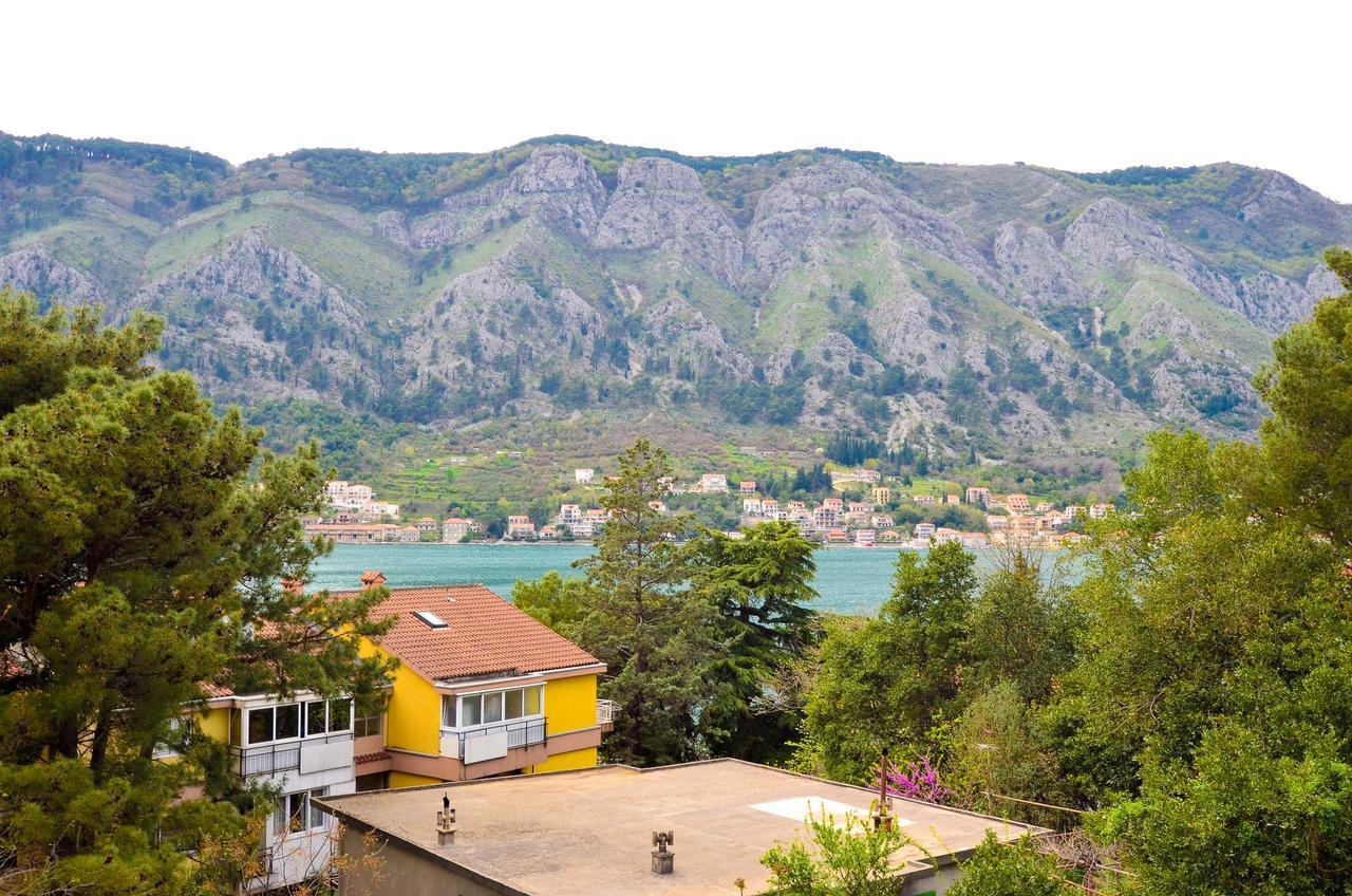 Central Apartment Kotor Exterior photo